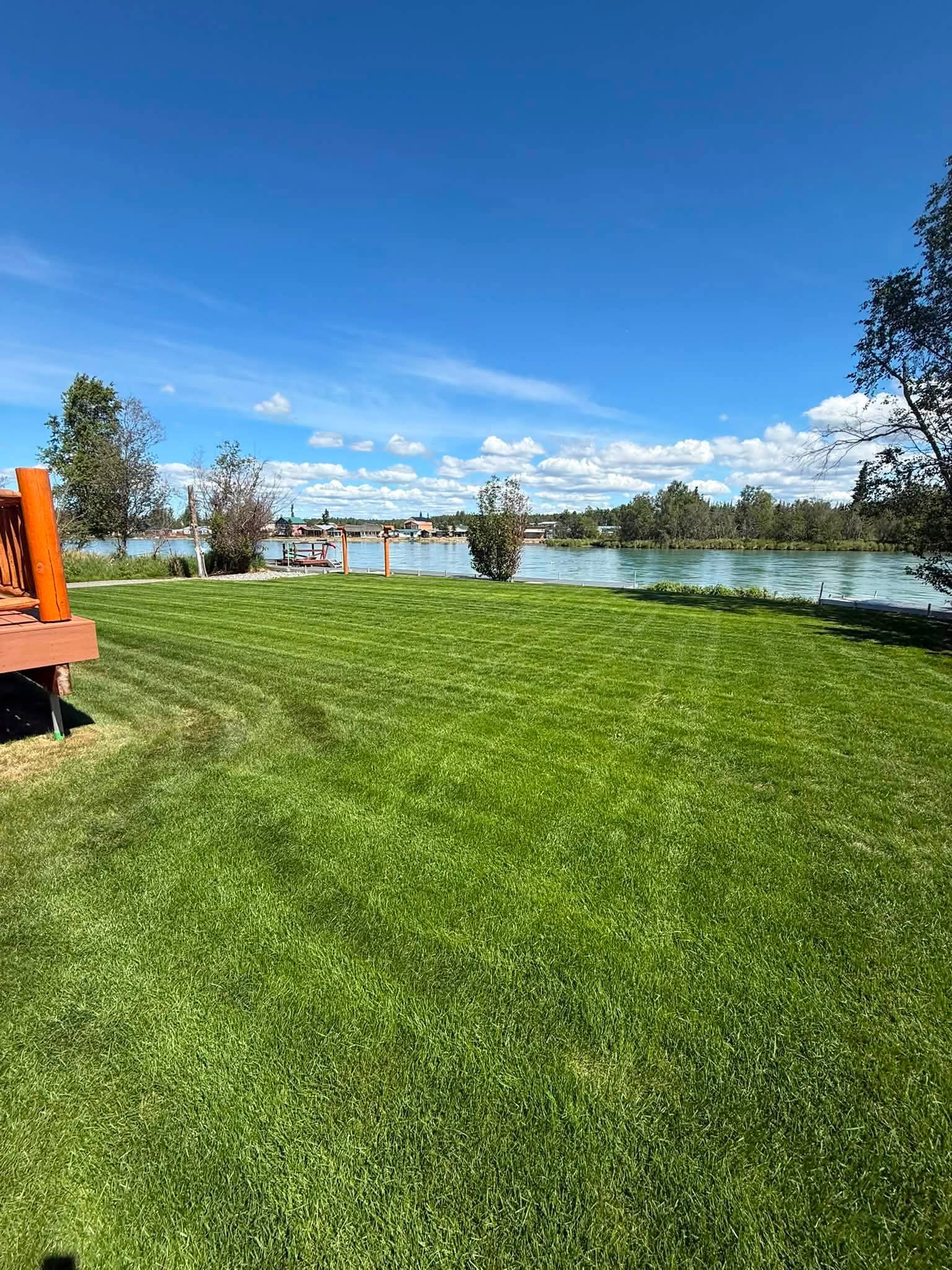 A freshly striped lawn on the Kenai River under a blue Alaska sky