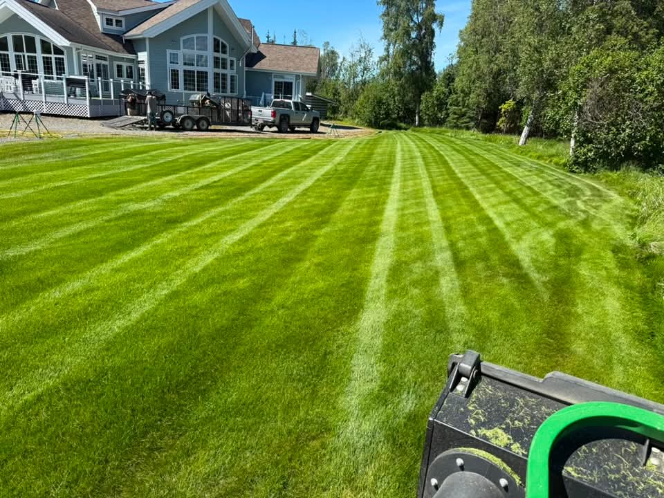 Bold mowing stripes across a lawn beside a large blue house